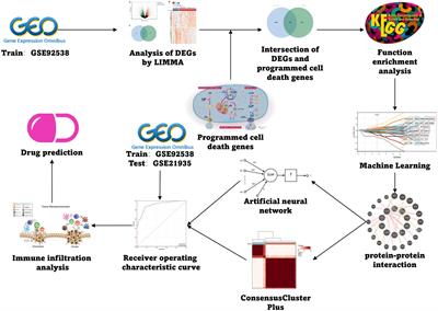 Machine learning-based predictive models and drug prediction for schizophrenia in multiple programmed cell death patterns